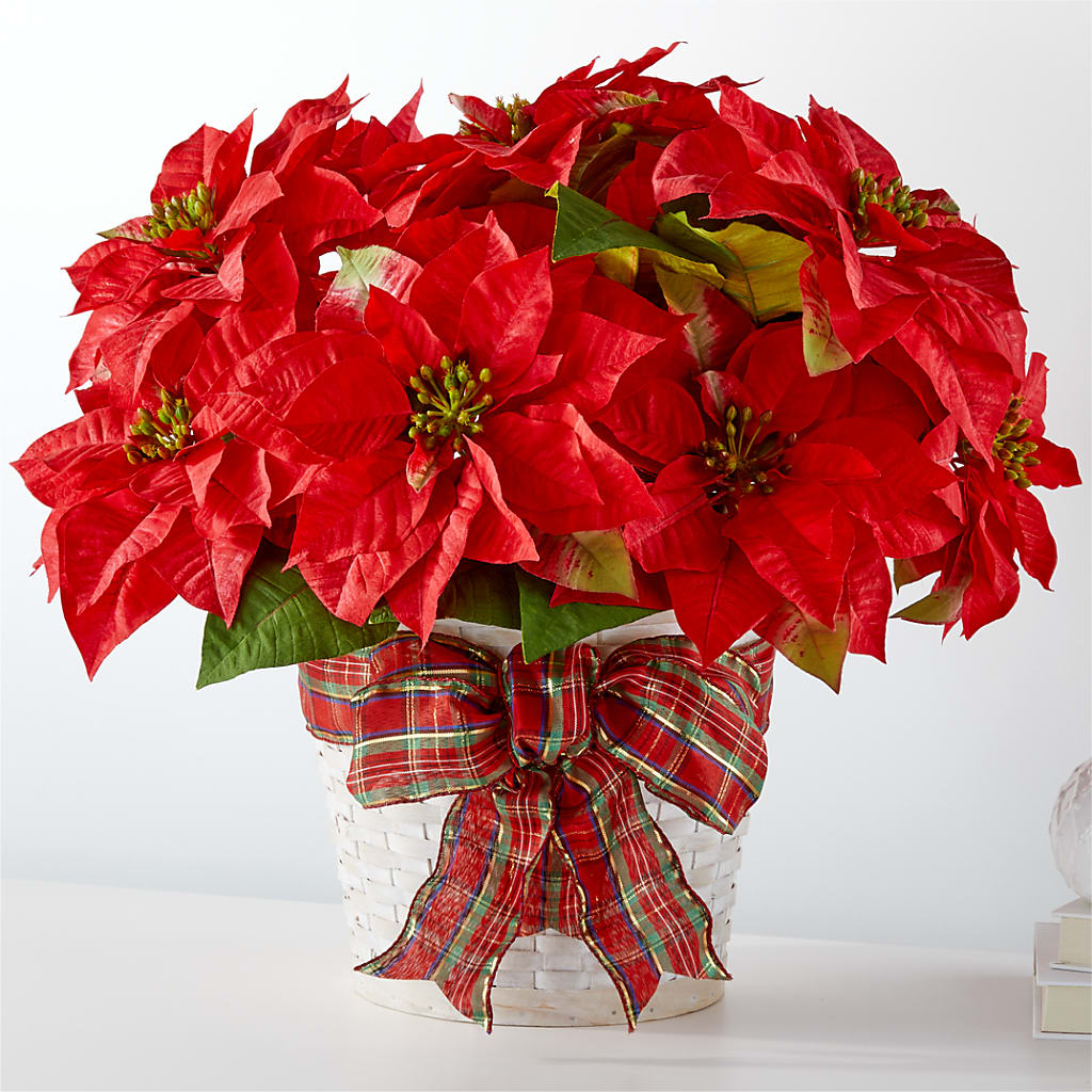 Happiest Holidays Poinsettia – SB FLORAL & DESIGN, Erie IL