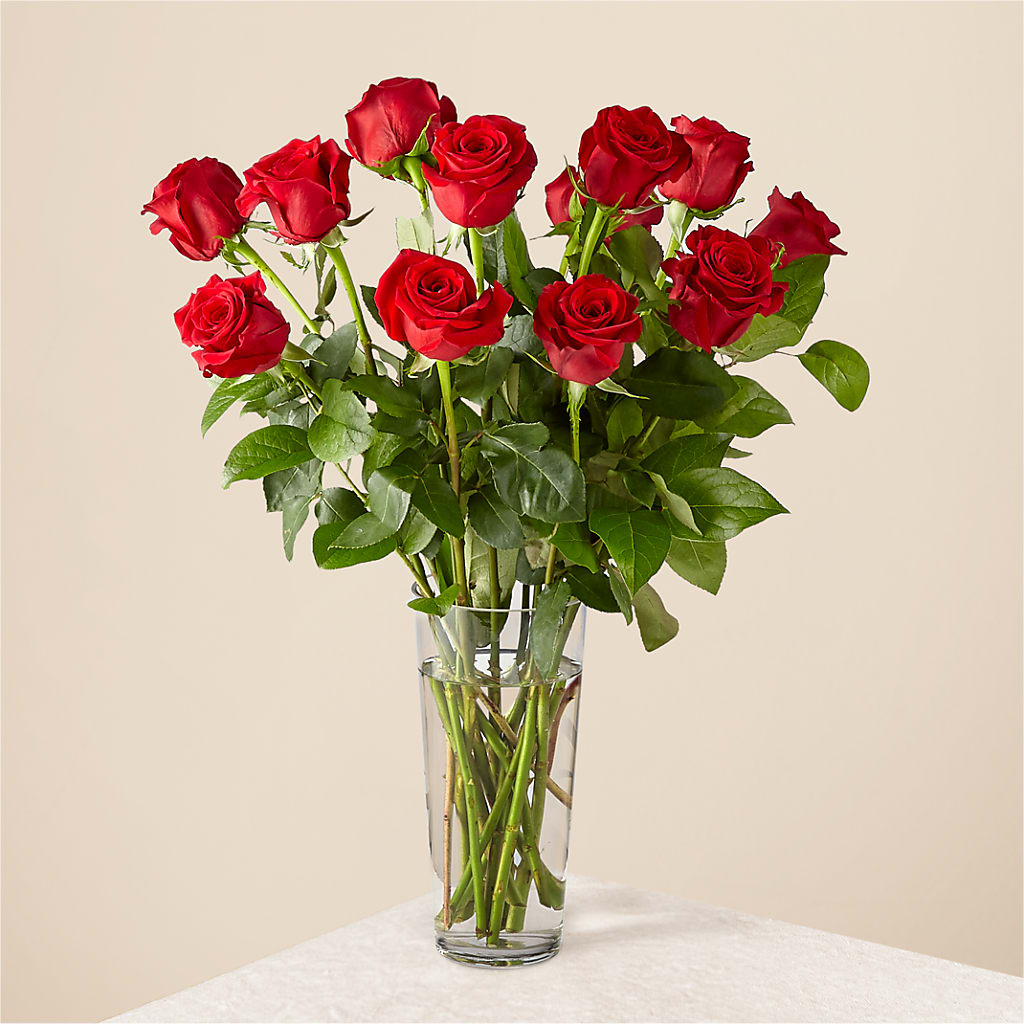 Long Stem Red Rose Bouquet – SB FLORAL & DESIGN, Erie IL