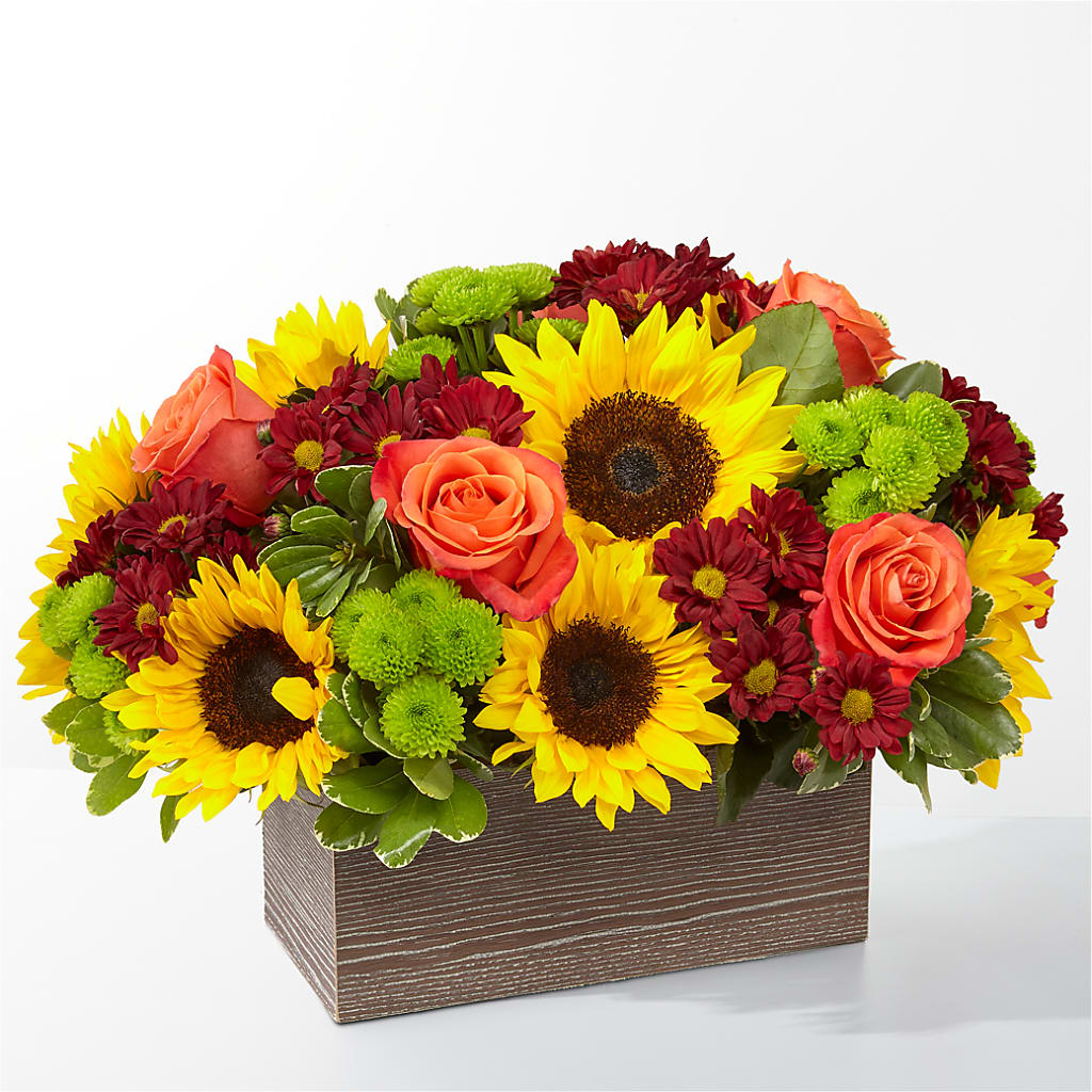 Happy Harvest Garden – SB FLORAL & DESIGN, Erie IL