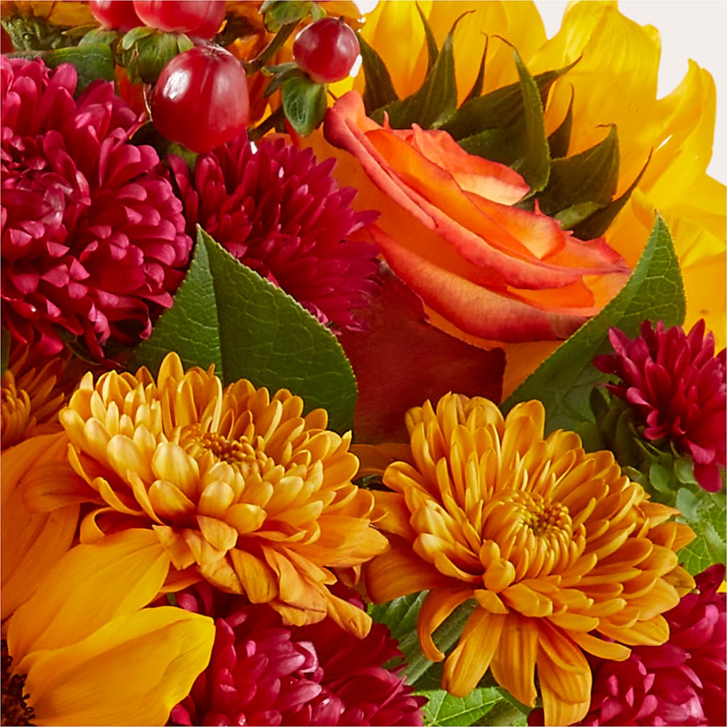 Sweater Season - A Florist Original – SB FLORAL & DESIGN, Erie IL