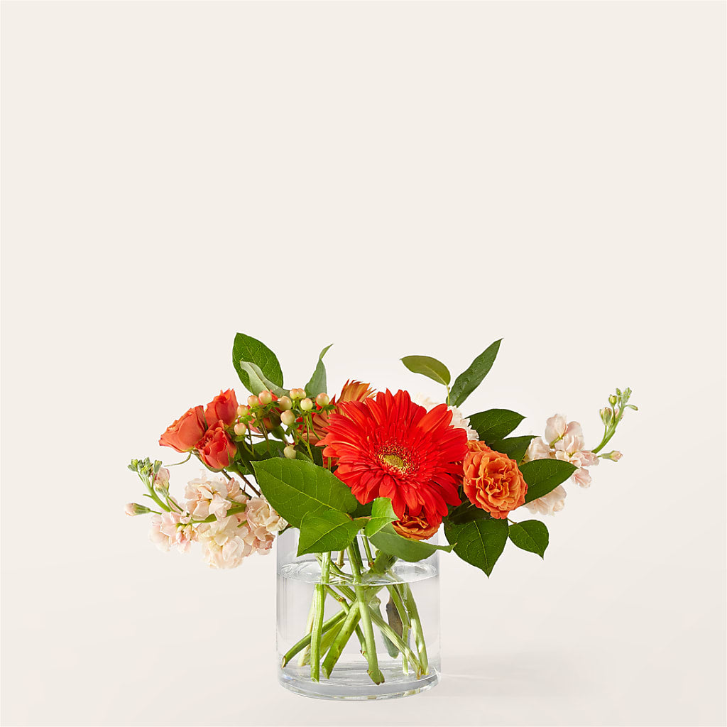 Paloma Please Bouquet – SB FLORAL & DESIGN, Erie IL