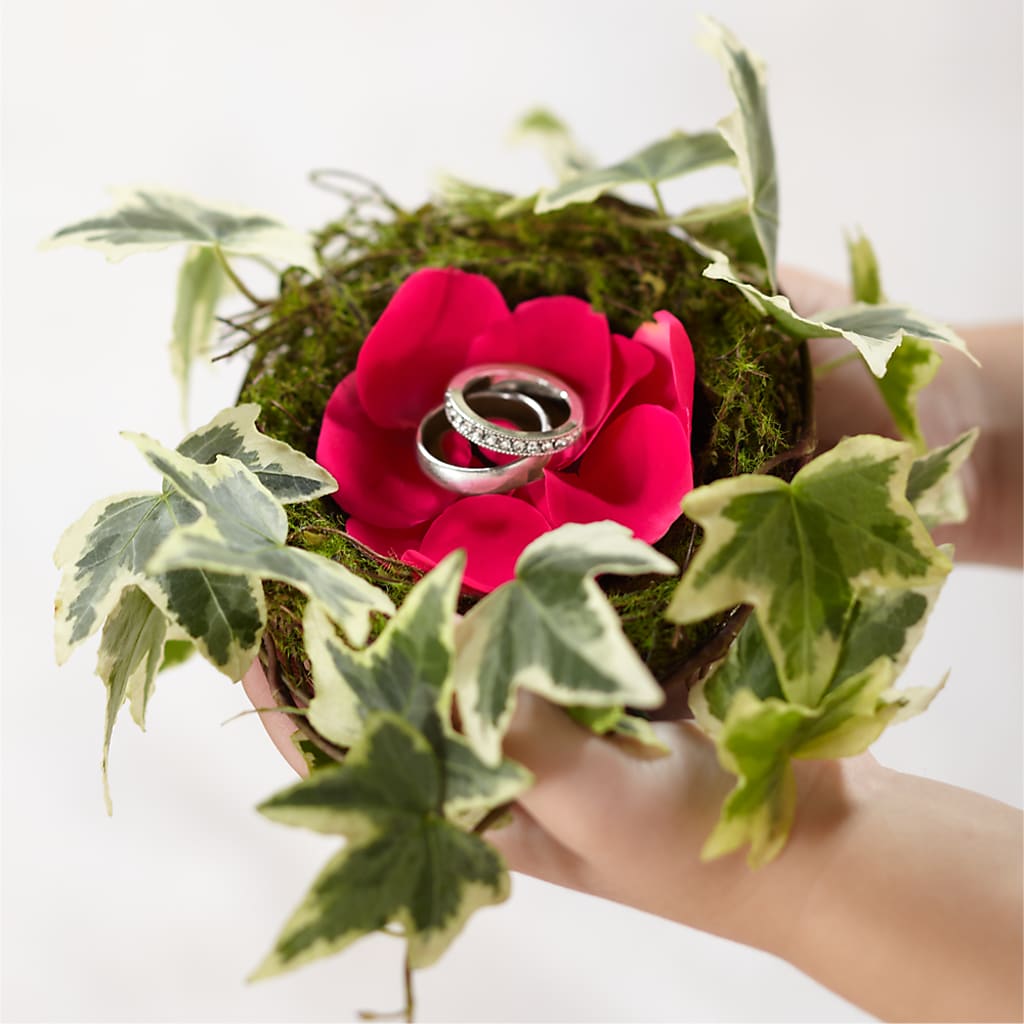 Lila Rose Ring Nest – SB FLORAL & DESIGN, Erie IL