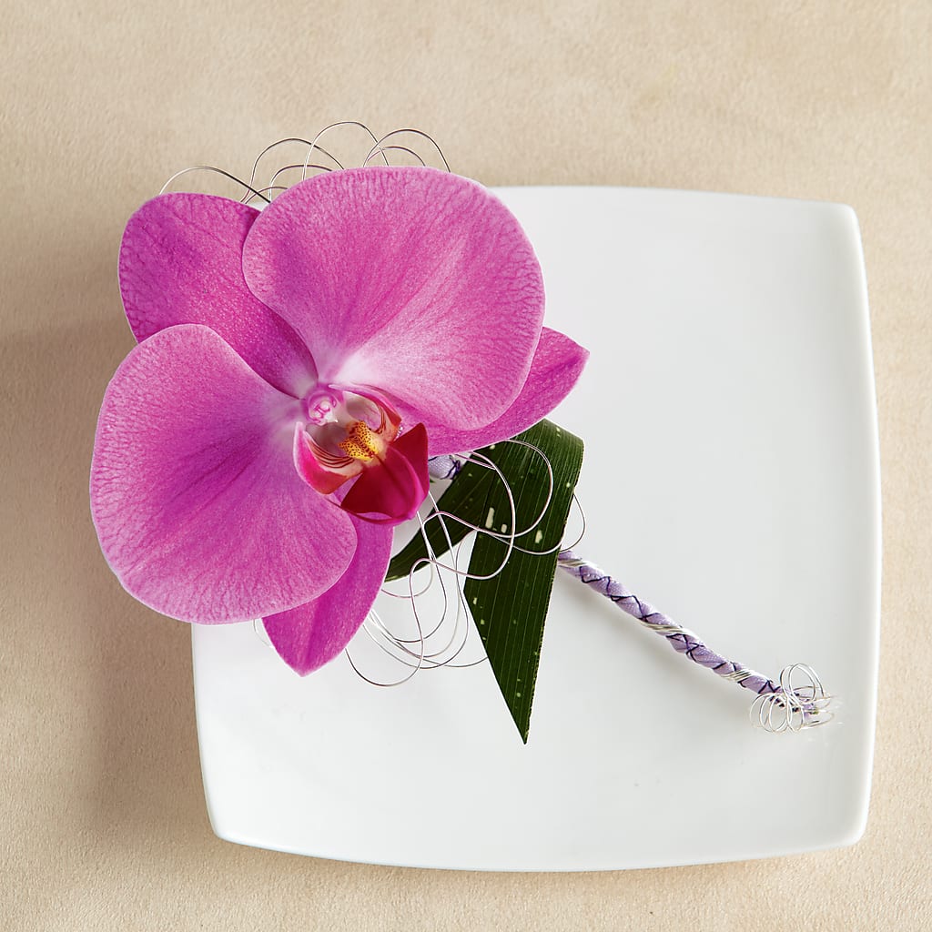 Glorious Boutonniere – SB FLORAL & DESIGN, Erie IL