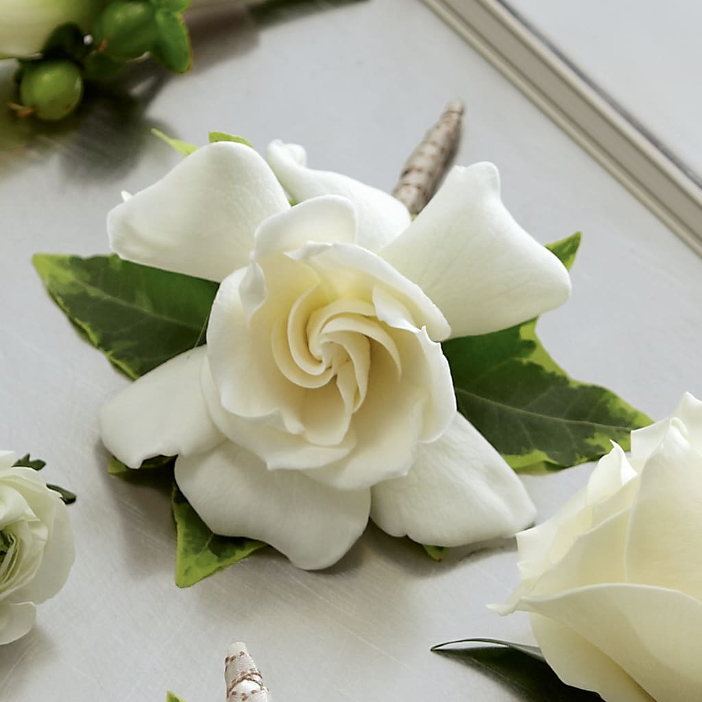 Gardenia Boutonniere – SB FLORAL & DESIGN, Erie IL