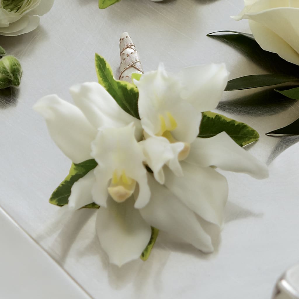 White Mini Cymbidium Boutonniere – SB FLORAL & DESIGN, Erie IL