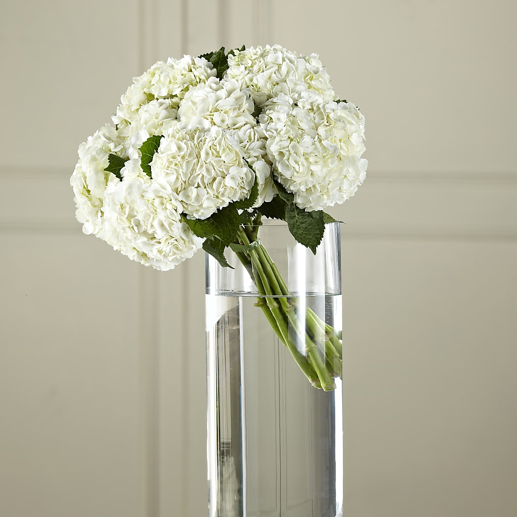White Hydrangea Hand-Tied Bouquet – SB FLORAL & DESIGN, Erie IL