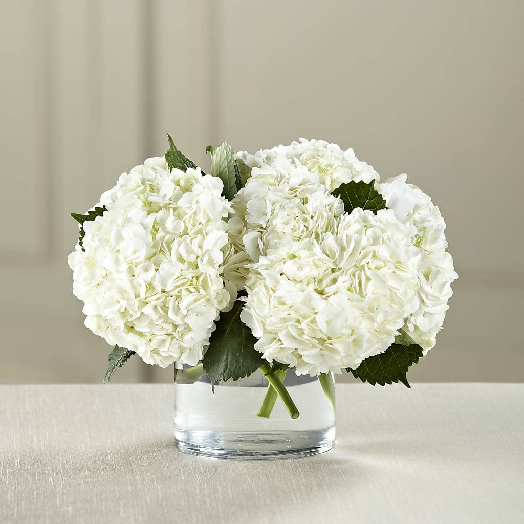 White Hydrangea Bouquet – SB FLORAL & DESIGN, Erie IL