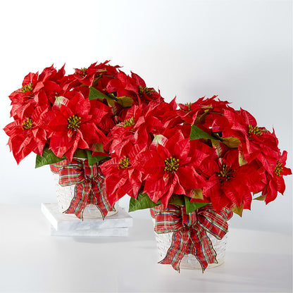 Happiest Holidays Poinsettia Bundle – SB FLORAL & DESIGN, Erie IL