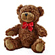 Adorable Plush Bear – SB FLORAL & DESIGN, Erie IL