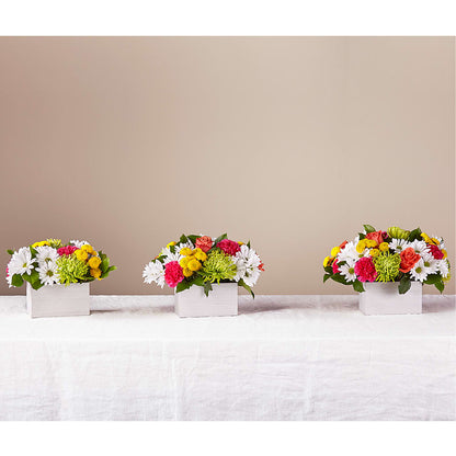 Sorbet Bouquet – SB FLORAL & DESIGN, Erie IL