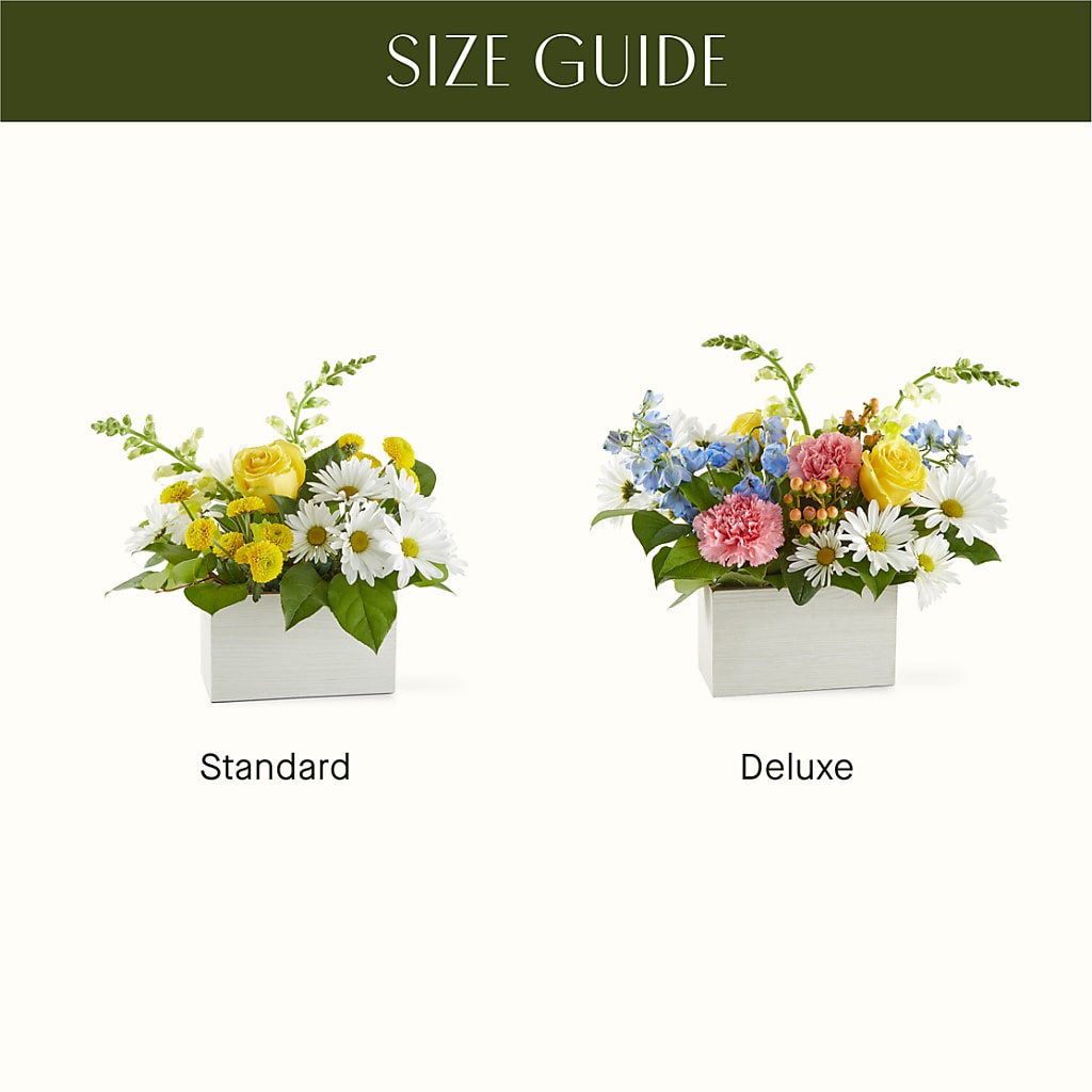 Sun Salutation Box Bouquet – SB FLORAL & DESIGN, Erie IL