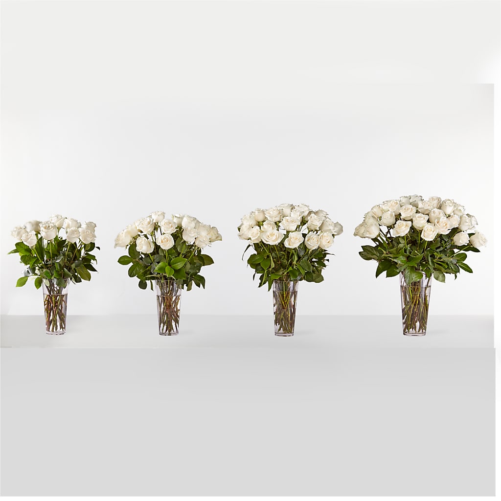 Long Stem White Rose Bouquet – SB FLORAL & DESIGN, Erie IL