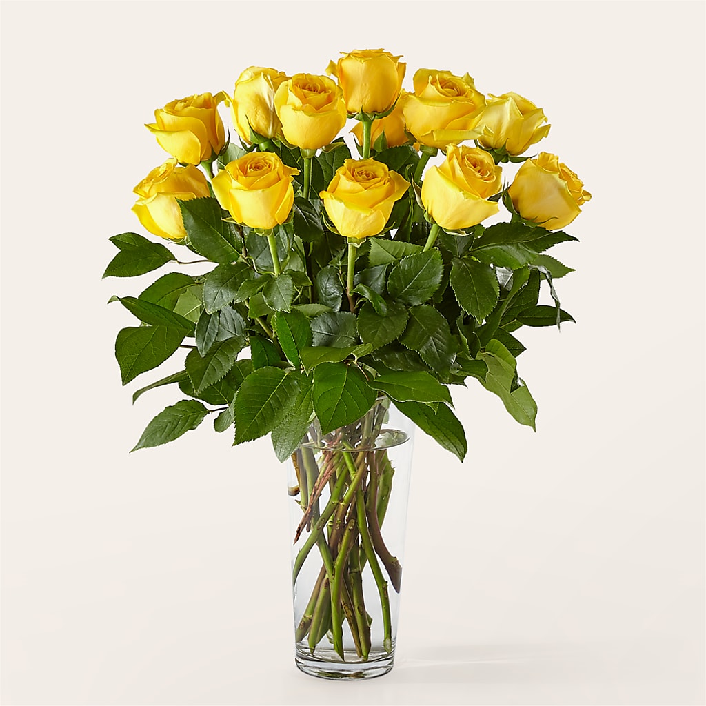 Long Stem Yellow Rose Bouquet – SB FLORAL & DESIGN, Erie IL