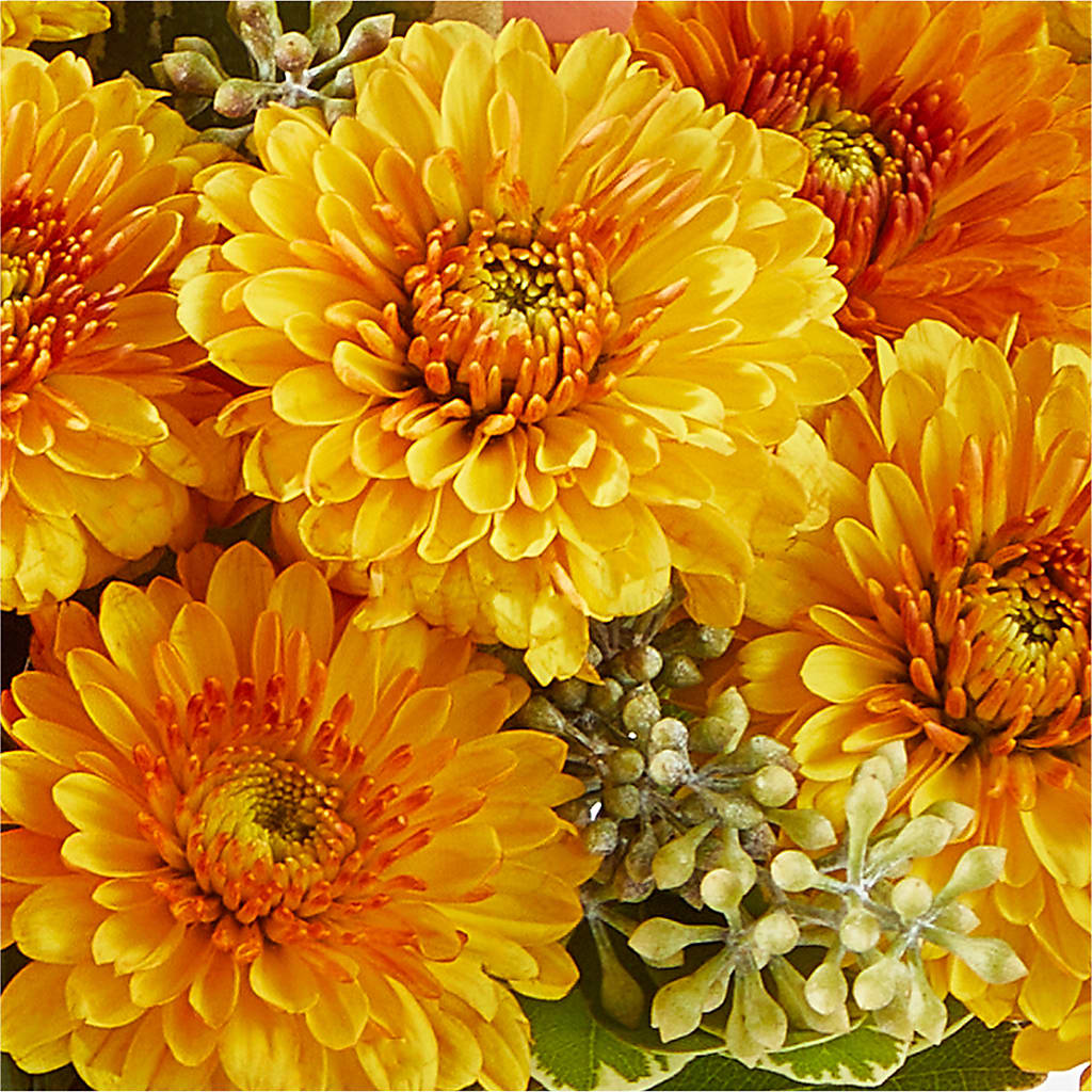 Peachy Pumpkin – SB FLORAL & DESIGN, Erie IL