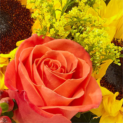 Pick of the Patch Pumpkin Bouquet – SB FLORAL & DESIGN, Erie IL