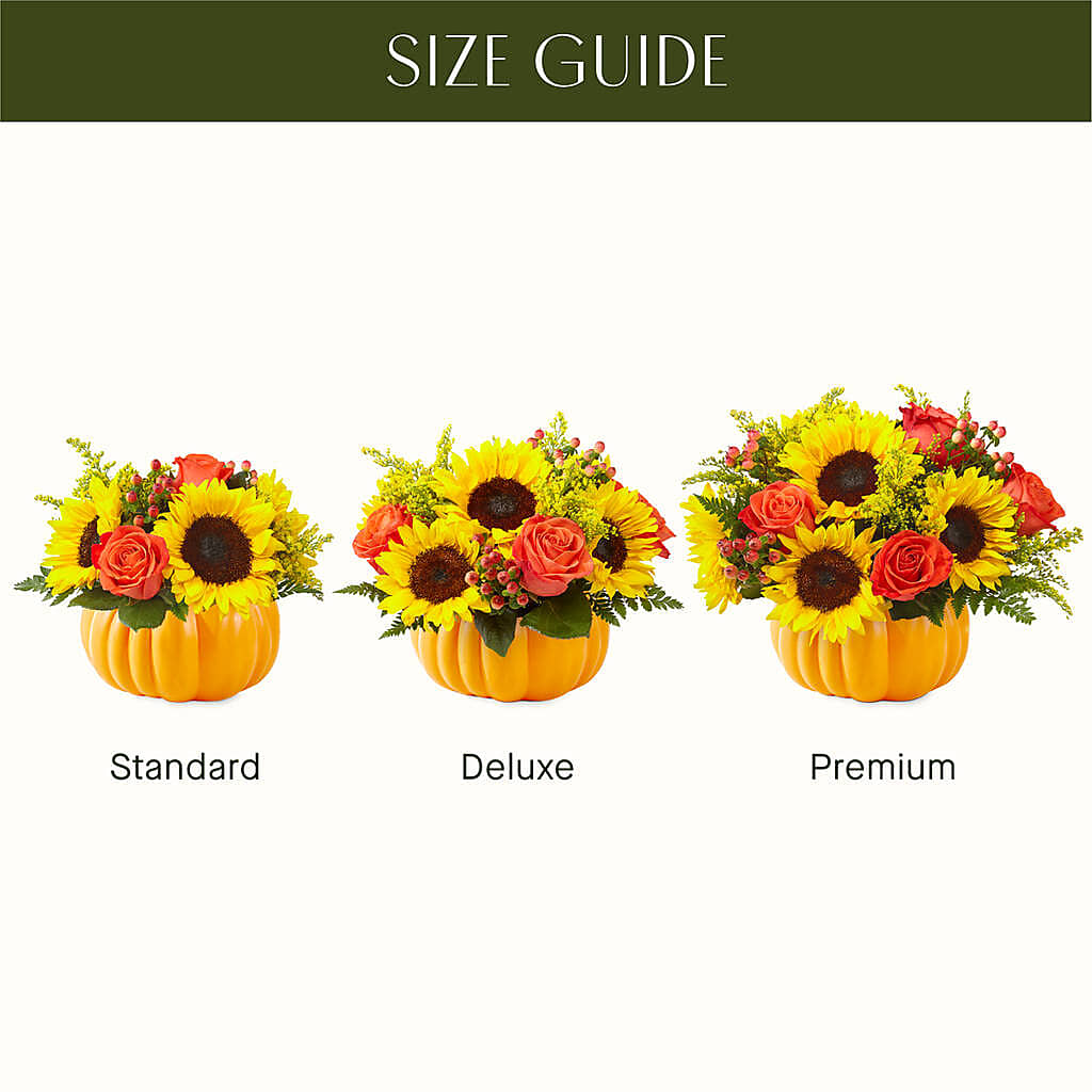 Pick of the Patch Pumpkin Bouquet – SB FLORAL & DESIGN, Erie IL