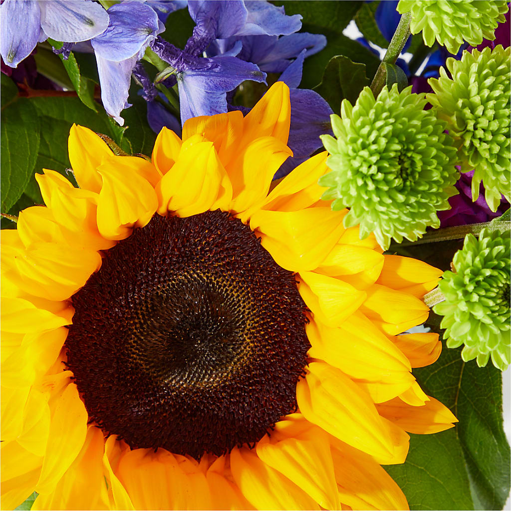 Catching Rays Bouquet – SB FLORAL & DESIGN, Erie IL