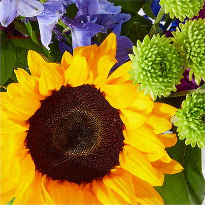 Catching Rays Bouquet – SB FLORAL & DESIGN, Erie IL