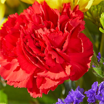 Brighter Days Bouquet – SB FLORAL & DESIGN, Erie IL