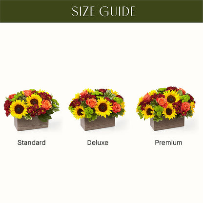 Happy Harvest Garden – SB FLORAL & DESIGN, Erie IL
