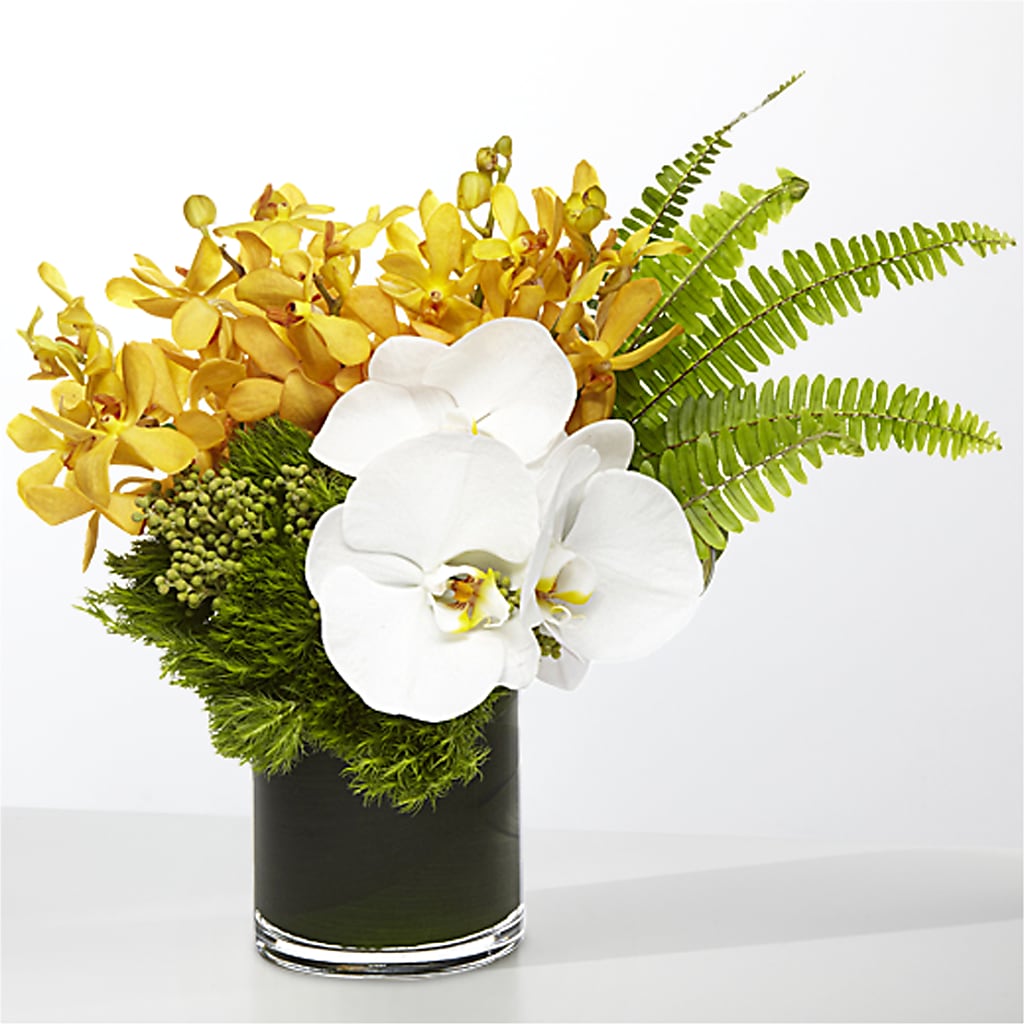 The Tropics – SB FLORAL & DESIGN, Erie IL