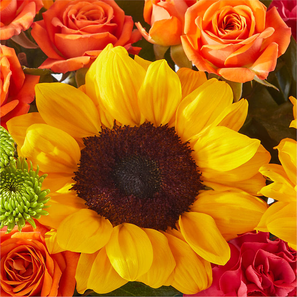 Sun-drenched Blooms Box Bouquet – SB FLORAL & DESIGN, Erie IL