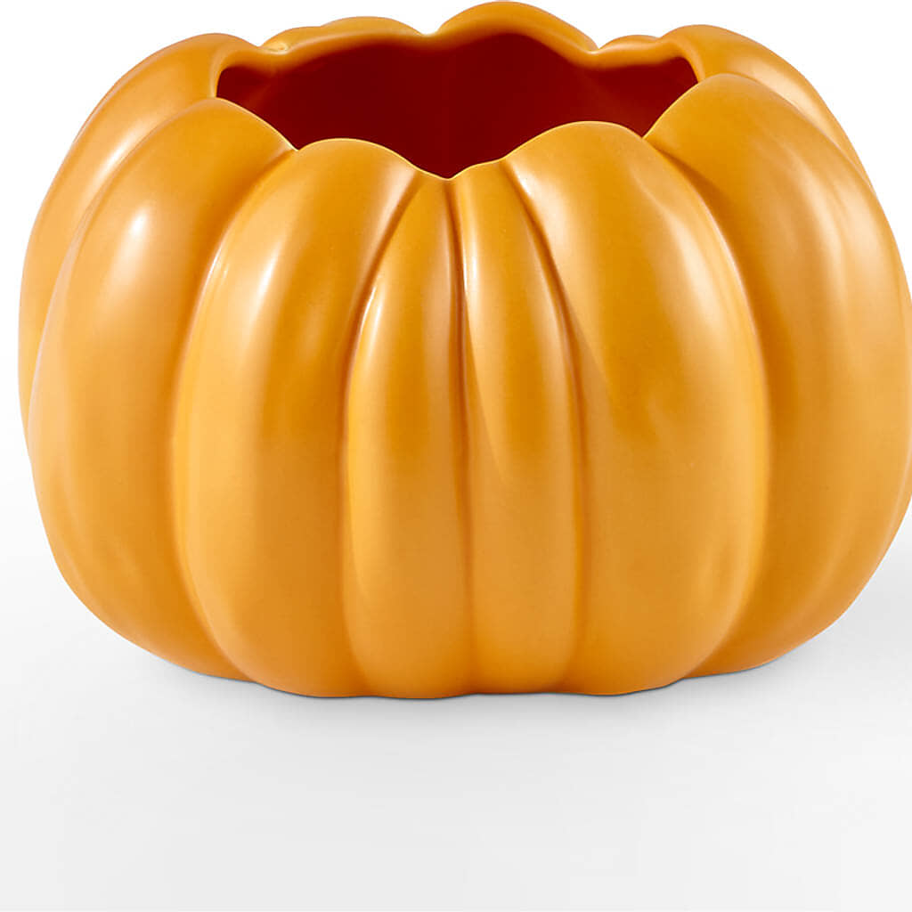 Pick of the Patch Pumpkin Bouquet – SB FLORAL & DESIGN, Erie IL