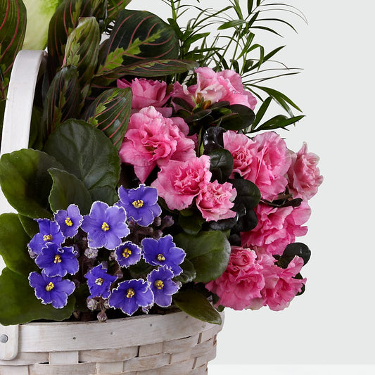 Peaceful Garden Planter – SB FLORAL & DESIGN, Erie IL