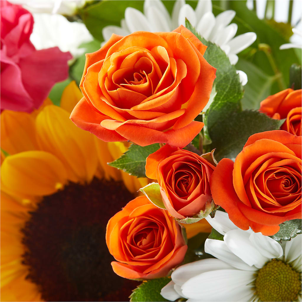Sun-drenched Blooms Bouquet – SB FLORAL & DESIGN, Erie IL