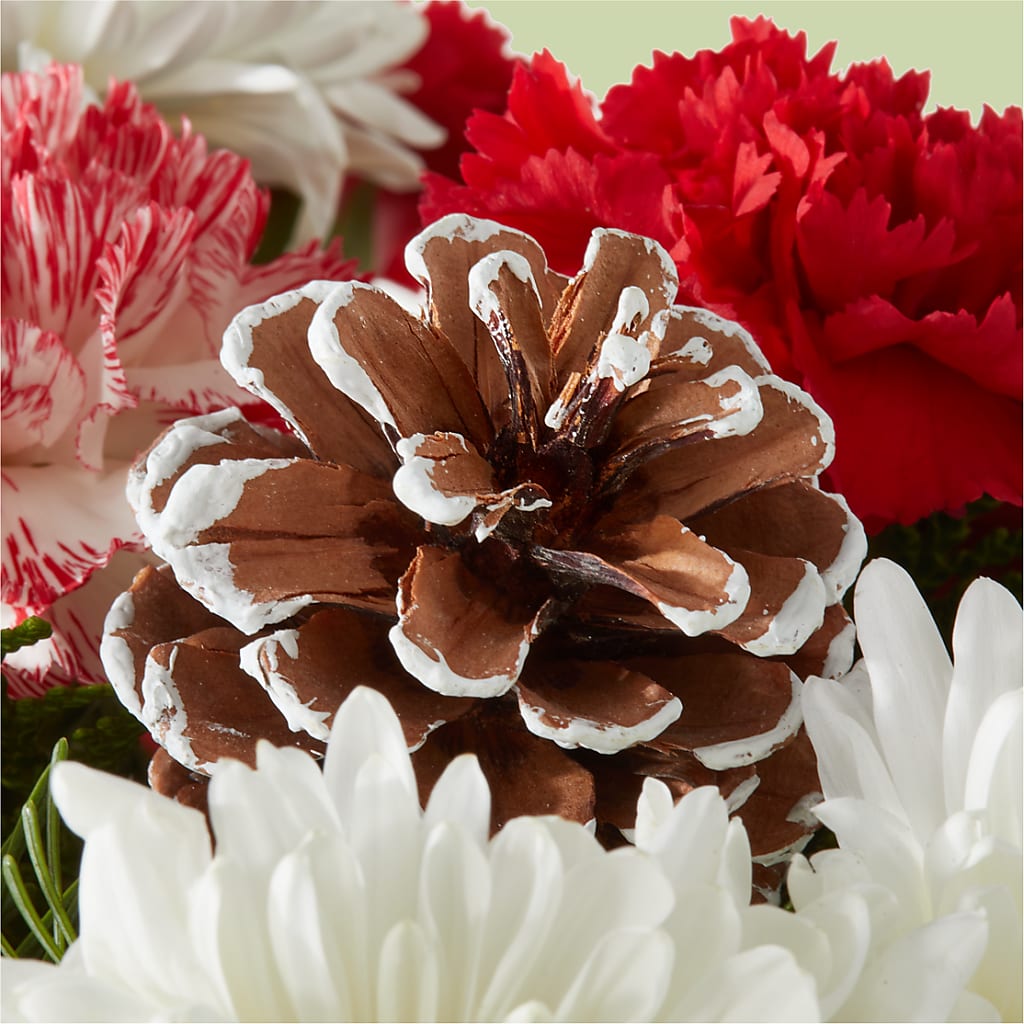 Candy Cane Lane Bouquet – SB FLORAL & DESIGN, Erie IL