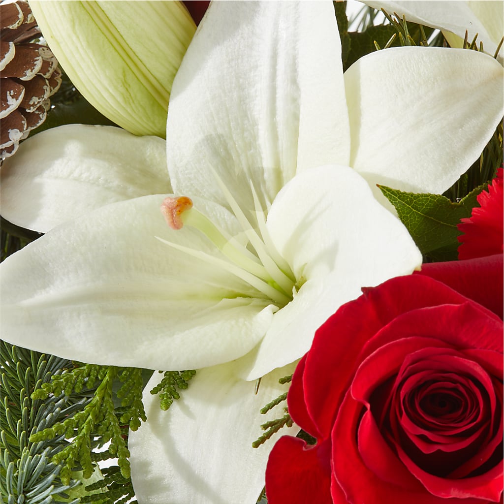 Oh So Jolly Bouquet – SB FLORAL & DESIGN, Erie IL