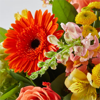 Autumn Sunshine Bouquet – SB FLORAL & DESIGN, Erie IL