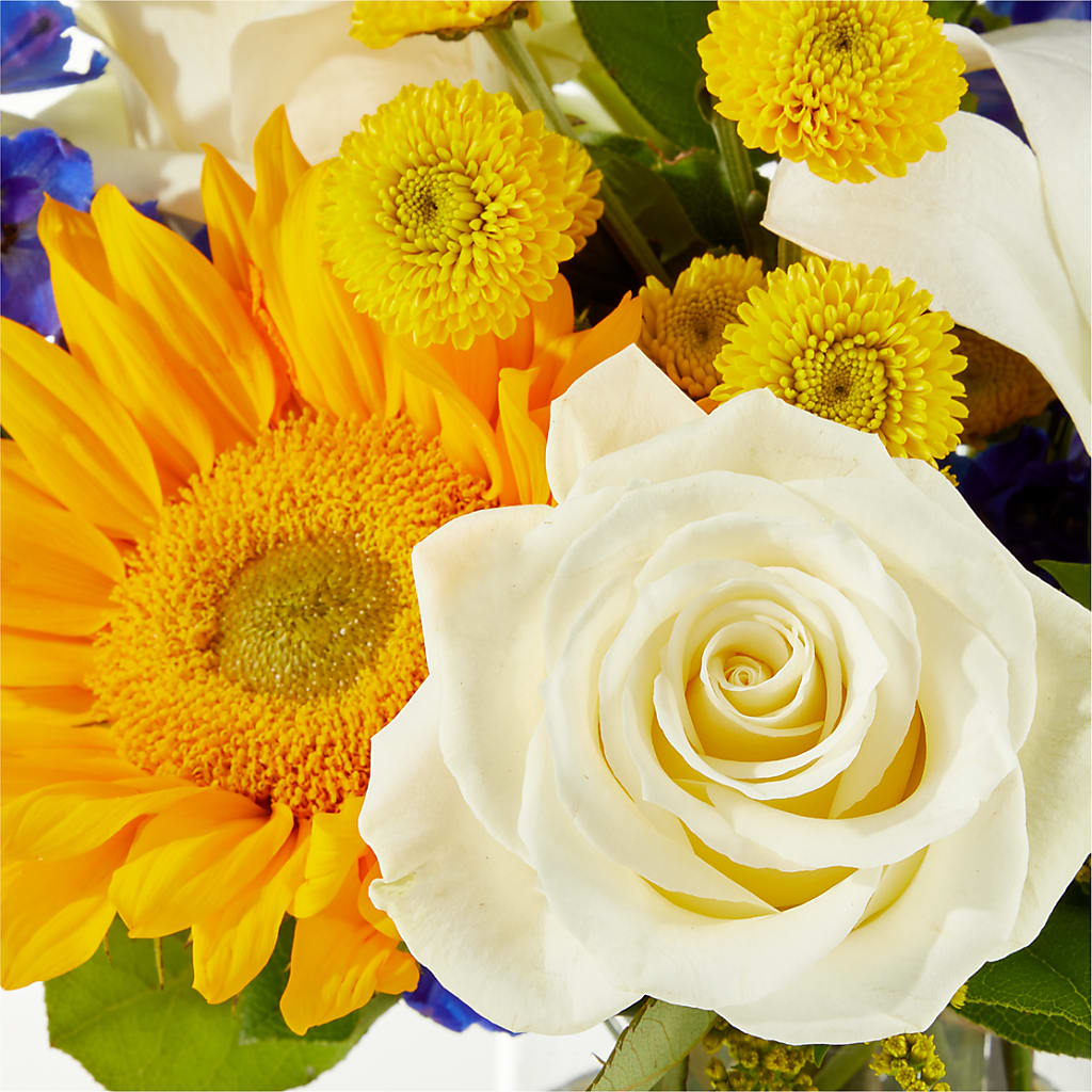 Stargazing Bouquet – SB FLORAL & DESIGN, Erie IL