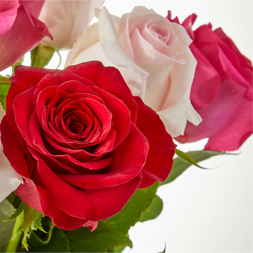 Charming Rose Bouquet – SB FLORAL & DESIGN, Erie IL