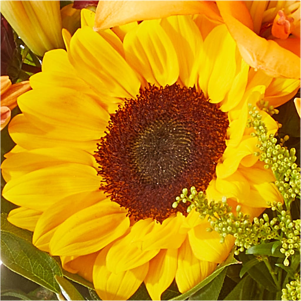 Seasons Change Bouquet – SB FLORAL & DESIGN, Erie IL