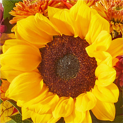 Sunny Side Bouquet – SB FLORAL & DESIGN, Erie IL