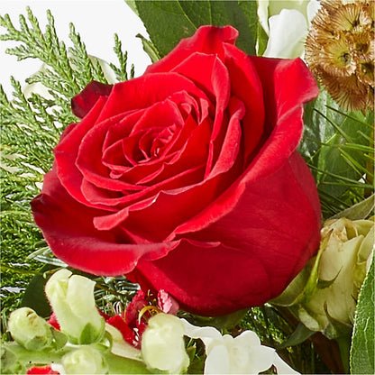 Deck the Halls Bouquet – SB FLORAL & DESIGN, Erie IL