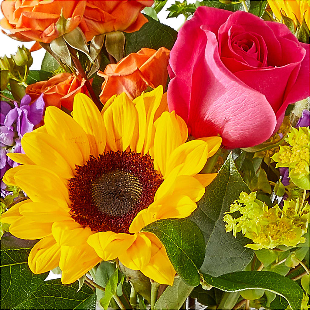 Vibrant Greetings Bouquet – SB FLORAL & DESIGN, Erie IL