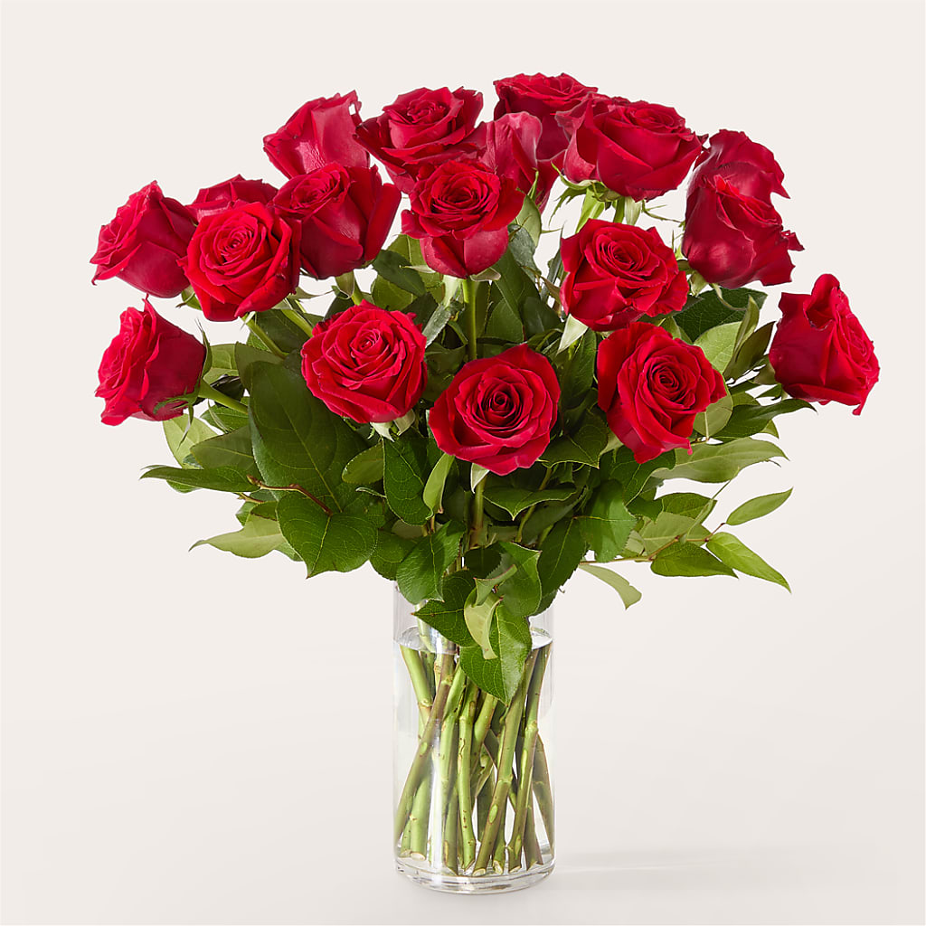 The One Red Rose Bouquet – SB FLORAL & DESIGN, Erie IL