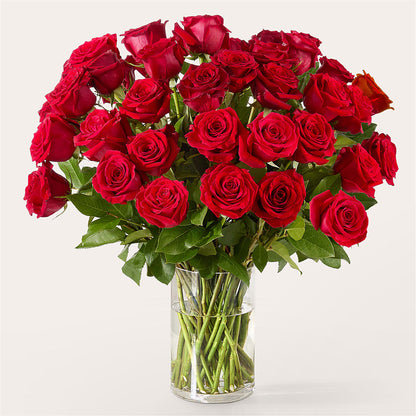 The One Red Rose Bouquet – SB FLORAL & DESIGN, Erie IL