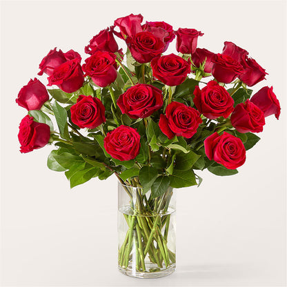 The One Red Rose Bouquet – SB FLORAL & DESIGN, Erie IL