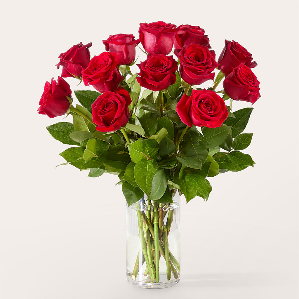 The One Red Rose Bouquet – SB FLORAL & DESIGN, Erie IL