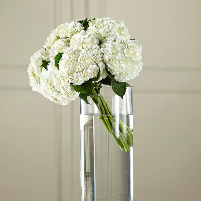 White Hydrangea Hand-Tied Bouquet – SB FLORAL & DESIGN, Erie IL