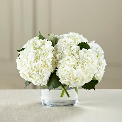 White Hydrangea Bouquet – SB FLORAL & DESIGN, Erie IL